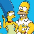Les Simpson cherchent admin