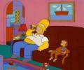 Les Simpson Autres animaux d'Homer 