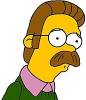 Les Simpson Ned Flanders : personnage de la srie 